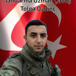 tolga-ozdinc